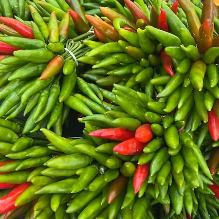 C Era Volta La Bionda Soverato Marina